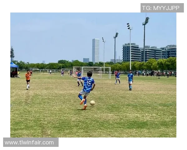从普通少年到绿茵场上的传奇穿越欧洲成就足球梦想之旅 从普通少年到绿茵场上的传奇穿越欧洲成就足球梦想之旅