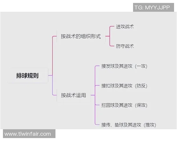 排球新手必看:快速掌握技巧与战术的全面入门指南 排球新手必看:快速掌握技巧与战术的全面入门指南