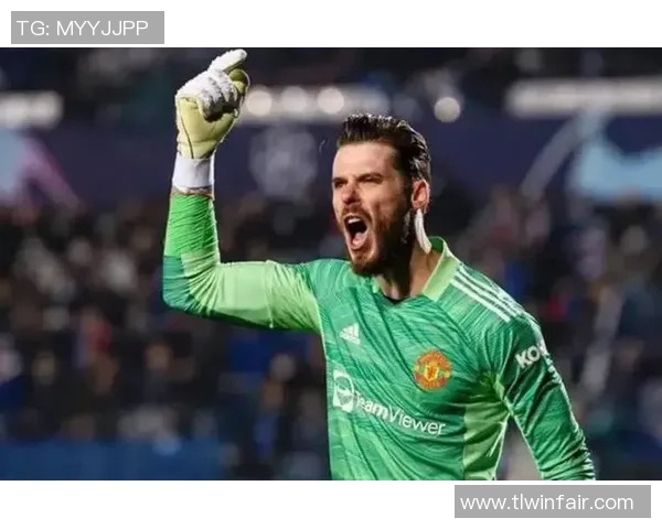 52号足球明星的传奇故事与荣耀时刻揭秘 52号足球明星的传奇故事与荣耀时刻揭秘