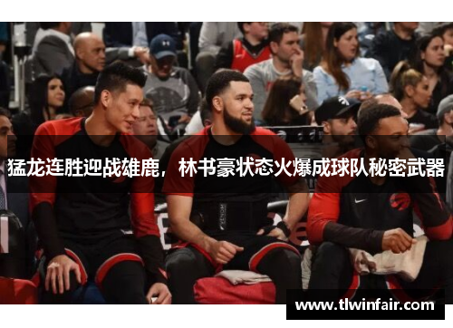 猛龙连胜迎战雄鹿，林书豪状态火爆成球队秘密武器