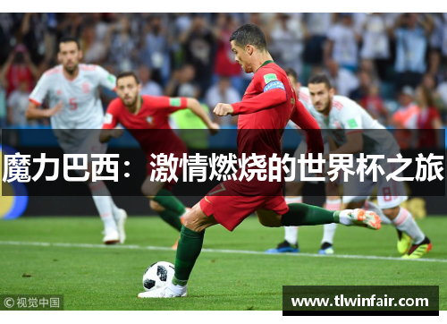 魔力巴西：激情燃烧的世界杯之旅