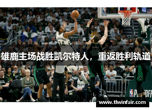 雄鹿主场战胜凯尔特人，重返胜利轨道