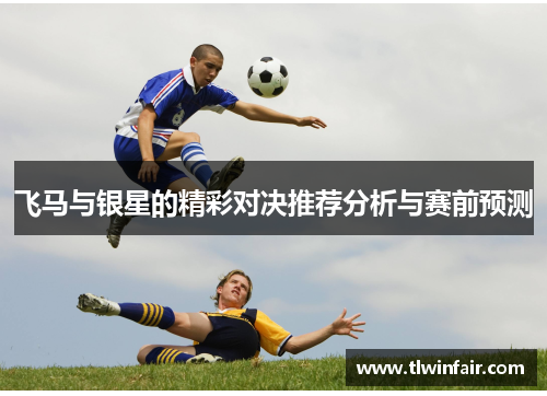 飞马与银星的精彩对决推荐分析与赛前预测